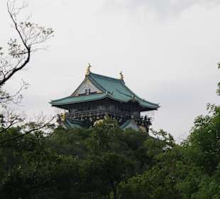 Castello di Osaka da lontano