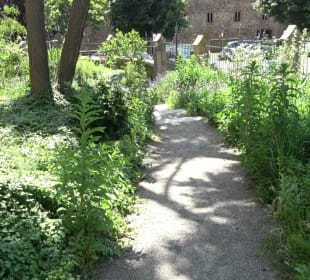 Friedenskirche (Handschuhsheim)