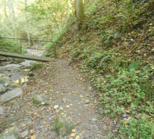 Brücke im Tal