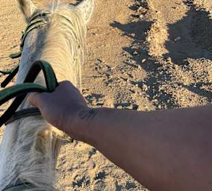 Reiten Marsa Alam