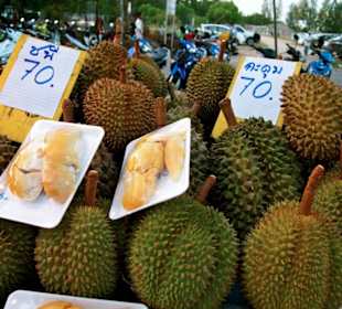 Exportieren verboten 