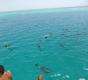 Auch vom Boot wunderschön