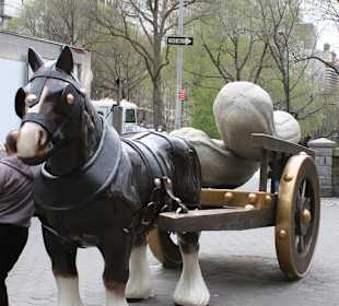 Davanti a Central Park