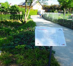 Schattengewächse mit Tafel