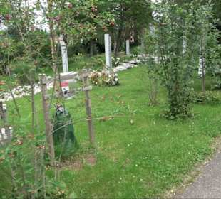 Friedhof Derendingen