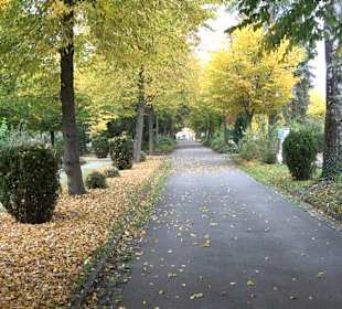 Hauptfriedhof Friedrichshafen
