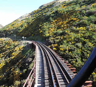 Mitder Taileri Railway durch die Natur Neuseelands