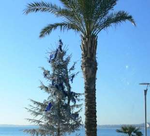 Weihnachtsbaum auf der Promenade