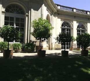 Orangerie