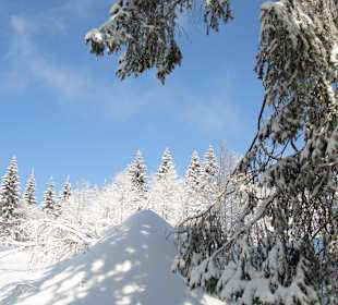  Naturpfad