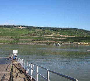 Fähre Rüdesheim
