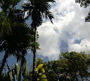 Reiten in schöner Umgebung