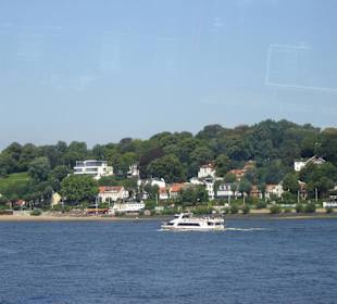 Hamburg - Auge in Auge mit den Giganten