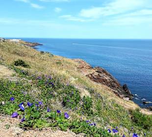 Ausblick vom Casapueblo