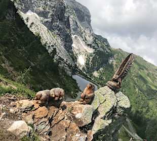 Wandern Hermagor - Pressegger See