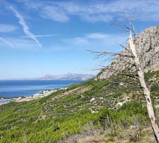 Blick zurück zum Weg