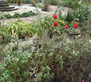Brunnenschale im Rosengarten