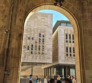 View from L´academia to parliament