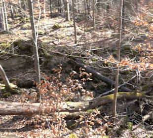 Historischer Rundwanderweg Aichtal