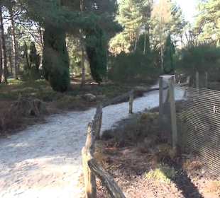 Botanischer Garten - Rombergpark