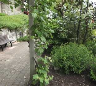 Benediktinerkloster Lorch