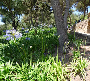 Parc Guell
