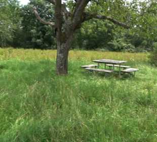 Wanderparkplatz Linden