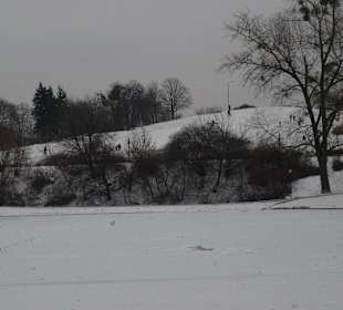 Park Moczydło zimą