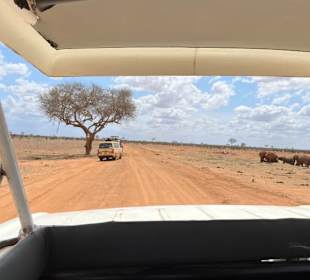 Fahrt durch den Park, ab und zu traf man andere 