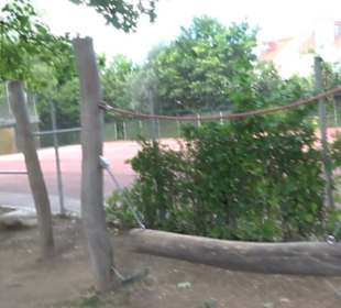Spielplatz Heckenrosenweg Gülstein