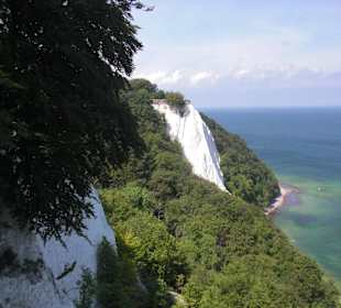 Blick zum Königstuhl