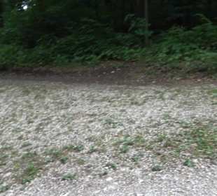 Wandertour an den Traifelbergfelsen