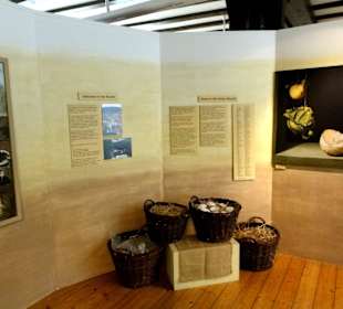 Exponate des Städtischen Museums