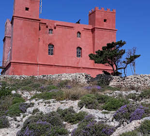 Stadtrundgang Mellieha