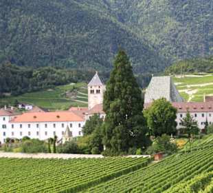 Das Kloster mit Blick aus den Weinbergen