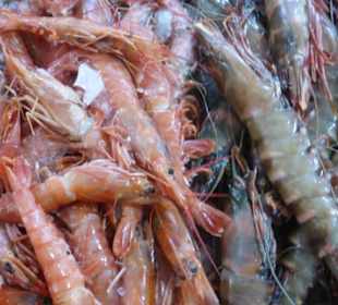 In der Abteilung für Fische und Meeresfrüchte