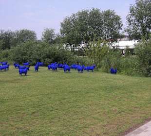 Die Blauen Schafe
