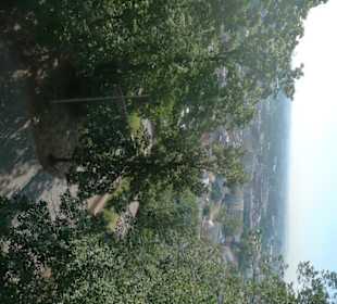 Территория