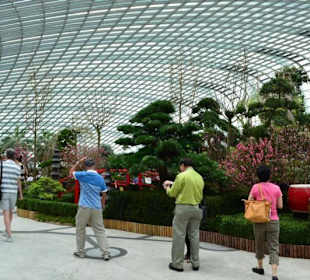 Gardens by the Bay