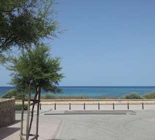 Weg zum Meer - kurz vor der Promenade