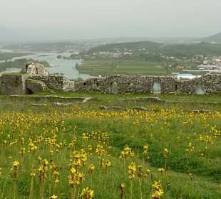 Traumhafter Blick von oben