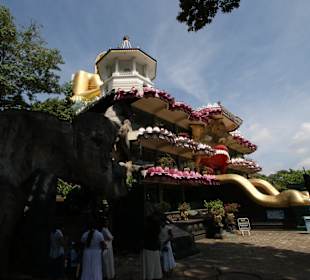 Dambulla Swiątynia