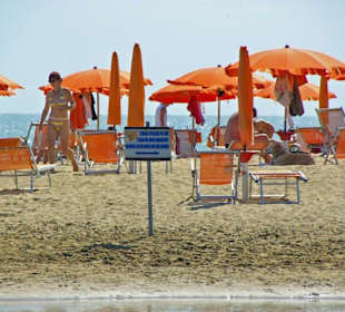 Hunde am Strand von Bibione