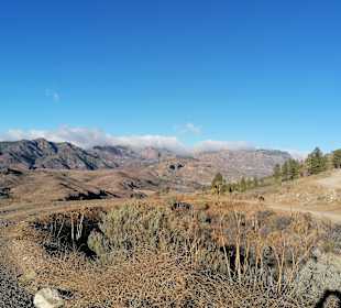 Inselrundfahrt Gran Canaria