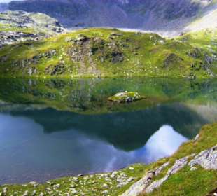 Neualplseen