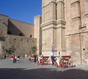 Palma de  Majorka
