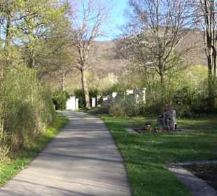 Friedhof Beuren