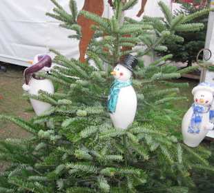 Schloss Heidelberg Weihnachtsmarkt