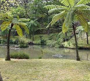 See im Park
