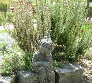 Осторов майнау